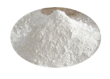 Σαν Hg PB Astragalus 0,5 PPM άσπρη σκόνη ενεργοποιητών Telomerase αποσπασμάτων ρίζας